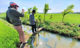 Kênh thủy lợi thấp hơn mặt ruộng