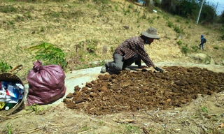 Người dân xã Yang Reh phơi phân bò để bán