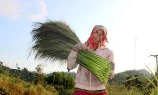 Săn 'lộc rừng' trên thảo nguyên M’đrắk