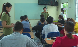 Trung tâm ngoại ngữ, tin học Tân Việt Mỹ