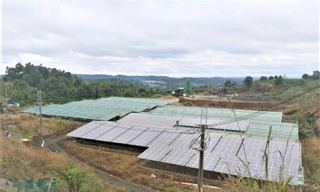 Hàng nghìn tấm quang năng bị tháo gỡ sau nghiệm thu