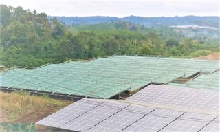 Tấm quang năng, bị tháo gỡ sau khi lắp đặt chưa đầy 2 tháng