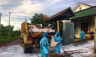 Tiêu hủy đàn gia cầm bị cúm A/H5N6