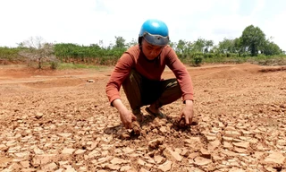 Người dân Đắk Lắk tìm nước giữa đại hạn