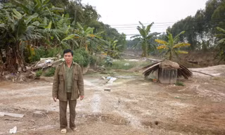 Ông Nguyễn Trọng Túc đứng bần thần bên lán vịt đã tháo dỡ sau khi tiêu hủy Ảnh: Phạm Anh
