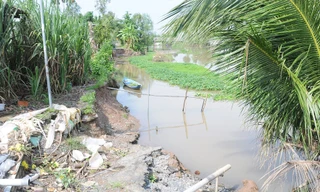 26 Tết, Trà Vinh công bố tình huống khẩn cấp sạt lở đê bao