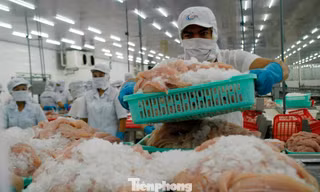 Doanh nghiệp 'ngộp thở' vì loạt áp lực 