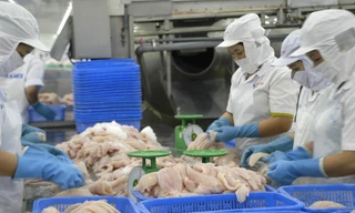 Cá tra xuất khẩu sang Mỹ đạt 34 triệu USD trong 2 tháng