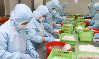 Thưởng Tết ở Cần Thơ: Cao nhất chỉ bằng một nửa năm ngoái