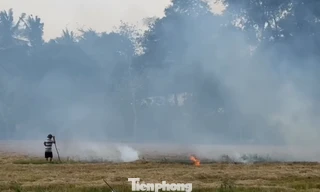 Xót xa 'kho vàng' bị đốt bỏ, vừa lãng phí lại gây ô nhiễm môi trường