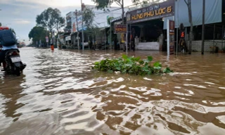 Cần Thơ: Chống ngập không nhất quán, nâng đường rồi nhà phải nâng theo