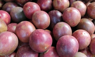 Thực nghiệm chiếu xạ chanh dây xuất khẩu sang Úc