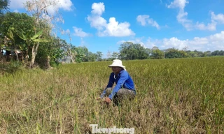 Biến đổi khí hậu diễn ra nhanh và nghiêm trọng hơn mọi dự báo