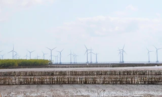 Cần Thơ thừa 50% công suất điện