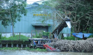 Nhà máy đường ở miền Tây tiếp tục dừng sản xuất, lỗ 20 tỷ đồng