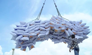 'Ông trùm' lúa gạo phía Nam vừa trúng thầu 100.000 tấn xuất Indonesia