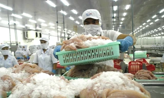 Dự báo xuất khẩu thủy sản cán đích 9 tỷ USD