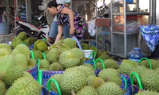 Giá lao dốc, xuất khẩu bất thành, người trồng sầu riêng vỡ mộng?