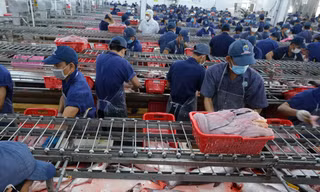 Xuất khẩu cá tra sang Mexico tăng trưởng ấn tượng