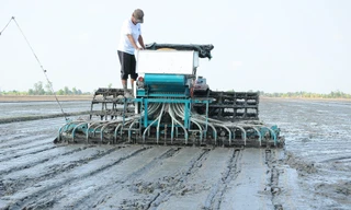 Vì sao các tổ chức tín dụng ngại cho vay vốn nông nghiệp?