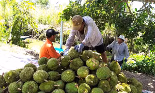 Vì sao doanh nghiệp Việt khó ‘nhập gia tùy tục’ ở thị trường Trung Quốc
