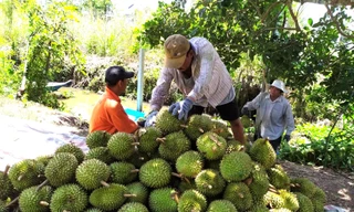 Vì sao doanh nghiệp Việt khó ‘nhập gia tùy tục’ ở thị trường Trung Quốc