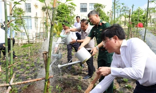 270 cây tre từ Lăng Bác được trồng tại Đền thờ Vua Hùng thành phố Cần Thơ