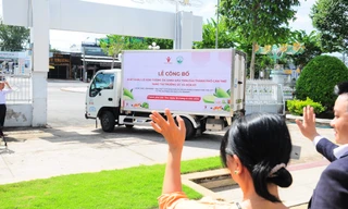 Lô xoài tượng da xanh đầu tiên của Cần Thơ xuất Mỹ, Úc 