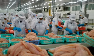 Xuất khẩu thủy sản sang Mỹ lập kỷ lục, sang Trung Quốc thấp nhất trong 5 năm