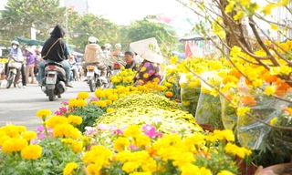 Phố Cần Thơ rực rỡ sắc màu từ các điểm bán hoa, nhưng sức mua giảm