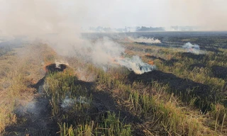 Phạt việc đốt rơm rạ gây ô nhiễm, khói nghi ngút