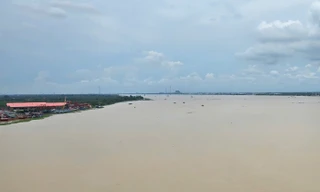 Hơn 4.000 tỷ đồng làm đê bao, kè sông Măng Thít, sông Hậu