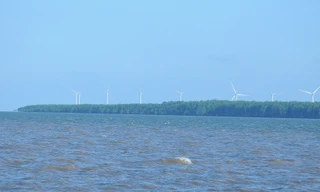 Sắp đấu thầu 5 dự án điện gió hơn 13.800 tỷ ở Trà Vinh 