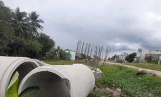 Yêu cầu Kho bạc Nhà nước Cần Thơ báo cáo kết quả giải ngân trước 16h30 hằng ngày