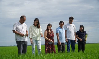 Lần đầu nông dân được thưởng tiền khi trồng lúa giảm phát thải