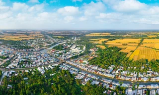 Hội đồng điều phối vùng Đồng bằng sông Cửu Long hoạt động như thế nào?