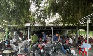 Vĩnh Long triệt xóa 2 tụ điểm cá cược đá gà ăn tiền