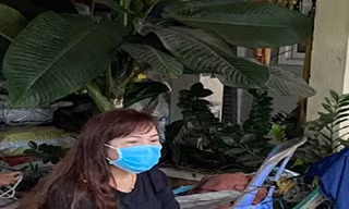 Bắt giam người phụ nữ theo xe 'luồng xanh' làm lây lan dịch bệnh ở Hậu Giang