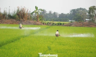 Báo động lạm dụng thuốc hóa học: Chuyên gia kêu gọi giảm hóa chất, tăng sinh học