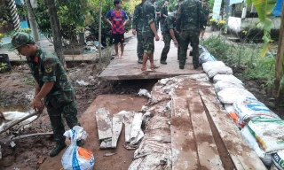 Triều cường gây thiệt hại hoa màu, ảnh hưởng hàng trăm hộ dân những ngày Tết