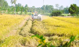 Hậu Giang kêu gọi đầu tư hơn 5.000 tỷ đồng vào 22 dự án nông nghiệp