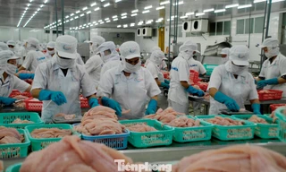 Nếu không vì người lao động, quê hương, có lẽ doanh nghiệp đã dừng lại 