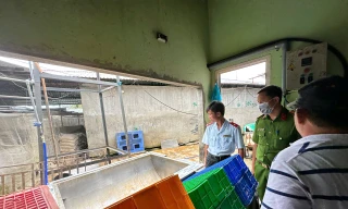 Lùm xùm vụ C.P: Kết quả kiểm tra lò mổ bị 'tố' có heo bệnh