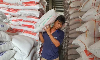 Lý do doanh nghiệp Việt khó đăng ký xuất khẩu gạo sang Trung Quốc