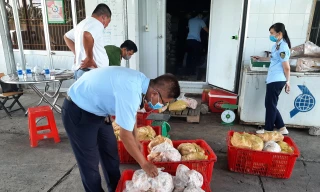 Phát hiện gần 3,5 tạ đùi gà, móng trâu, má heo không rõ nguồn gốc