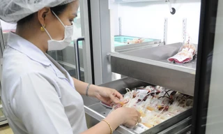 Tình cảnh thiếu máu chưa từng có từ khi thành lập 'ngân hàng máu' ở miền Tây