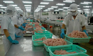 Xuất khẩu cá tra sang EU vẫn ảm đạm