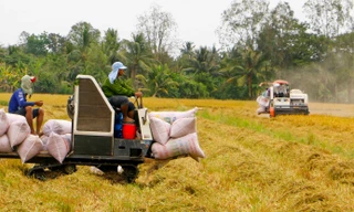 Bộ trưởng Lê Minh Hoan nói về việc nông dân lên facebook, zalo bán hàng