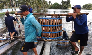 Phó Thủ tướng yêu cầu báo cáo rõ nhiều vấn đề về Trung tâm liên kết nông sản ĐBSCL