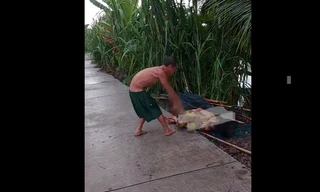 Xác minh clip chồng đánh vợ dã man giữa đường